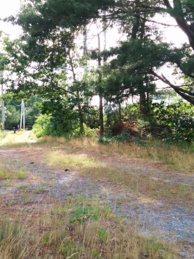 Crowell Conservation Area - Duxbury, MA