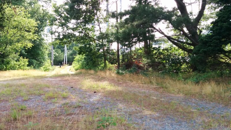 Crowell Conservation Area - Duxbury, MA