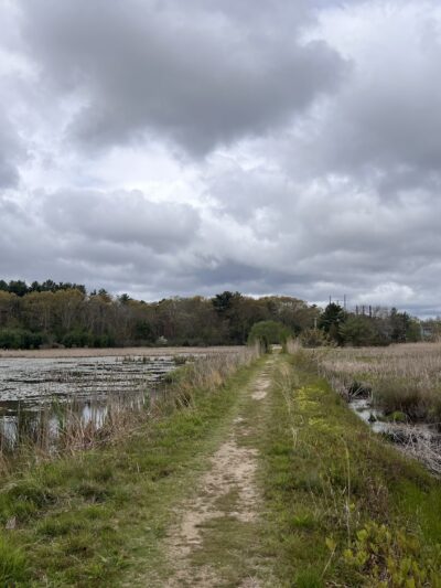 Crowell Conservation Area - Duxbury, MA