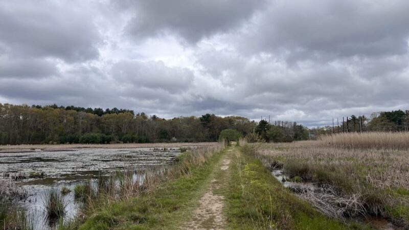 Crowell Conservation Area - Duxbury, MA