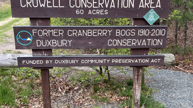 Crowell Conservation Area - Duxbury, MA
