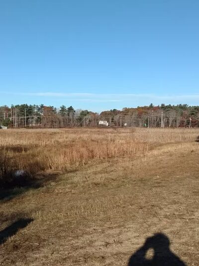 Crowell Conservation Area - Duxbury, MA