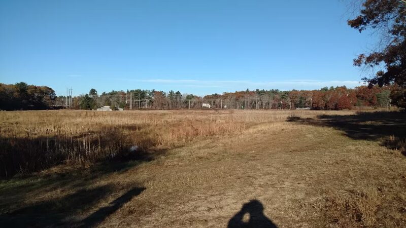 Crowell Conservation Area - Duxbury, MA