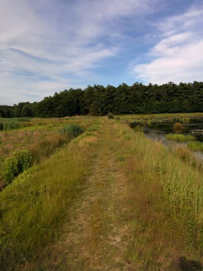 Crowell Conservation Area - Duxbury, MA