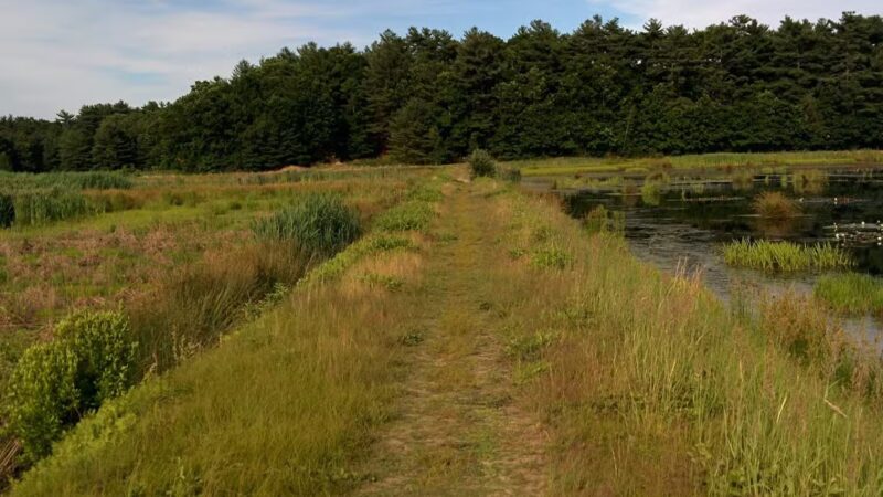 Crowell Conservation Area - Duxbury, MA