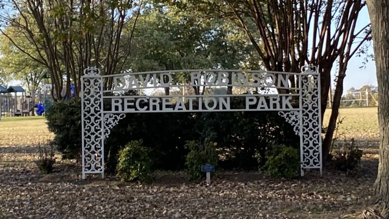 Dyer City Park, David Robinson Park - Dyer, TN