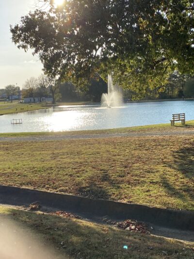 Dyer City Park, David Robinson Park - Dyer, TN