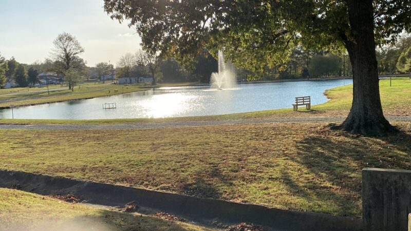 Dyer City Park, David Robinson Park - Dyer, TN