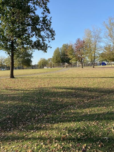 Dyer City Park, David Robinson Park - Dyer, TN