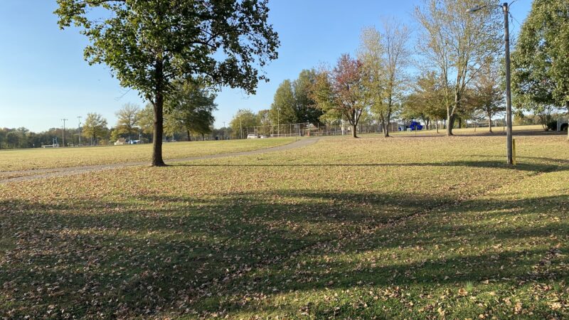 Dyer City Park, David Robinson Park - Dyer, TN