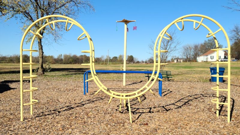 Dyer City Park, David Robinson Park - Dyer, TN