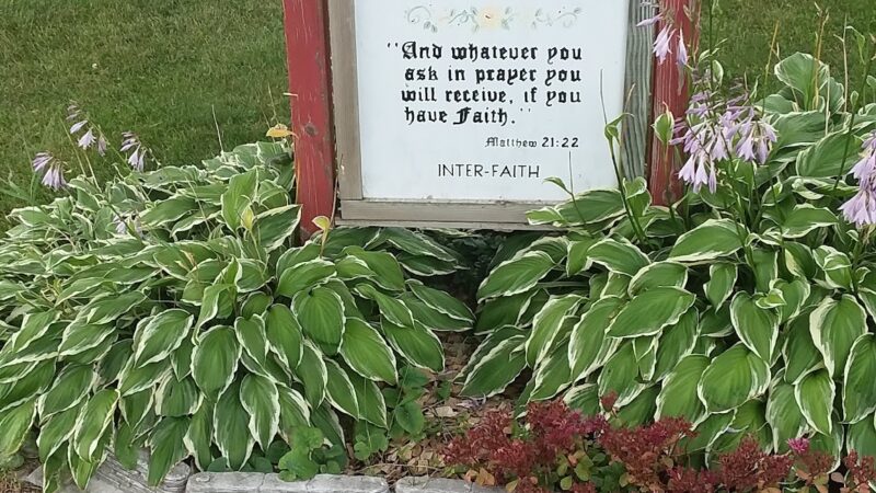 Nelson Park - Eagle Bend, MN
