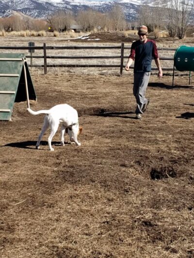 Town of Eagle Dog Park - Eagle, CO