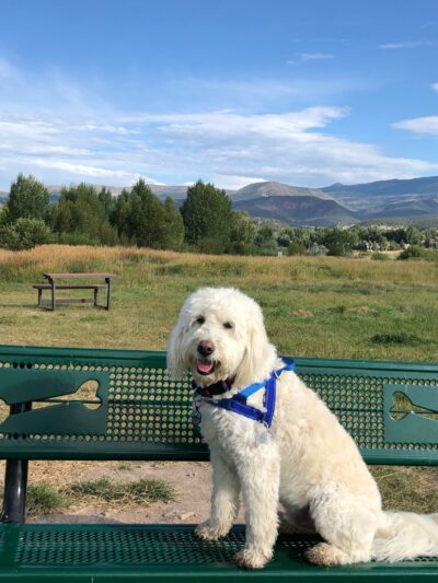 Town of Eagle Dog Park - Eagle, CO
