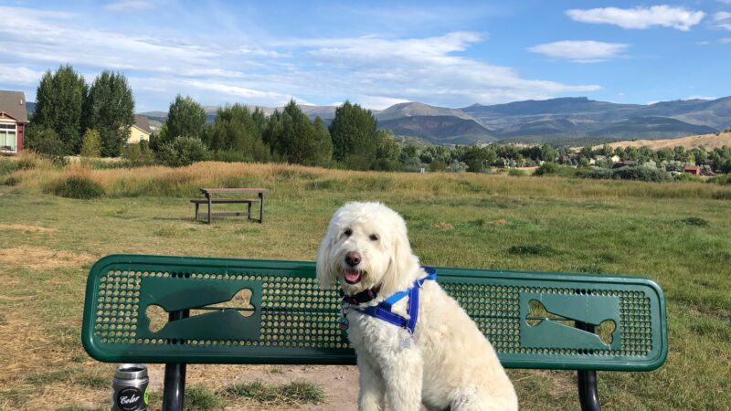 Town of Eagle Dog Park - Eagle, CO