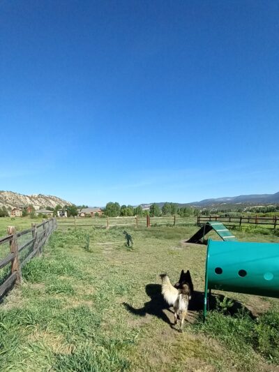 Town of Eagle Dog Park - Eagle, CO
