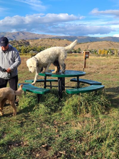 Town of Eagle Dog Park - Eagle, CO