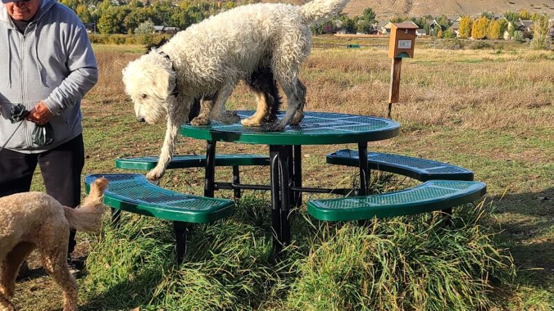 Town of Eagle Dog Park - Eagle, CO