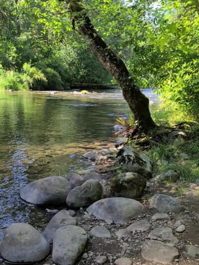 Eagle Fern Park - Eagle Creek, OR