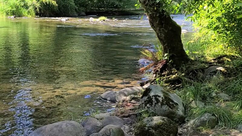 Eagle Fern Park - Eagle Creek, OR