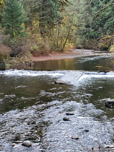 Eagle Fern Park - Eagle Creek, OR