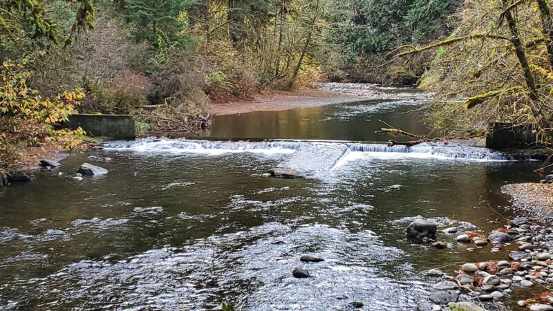 Eagle Fern Park - Eagle Creek, OR