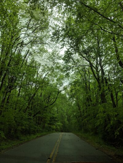 Earleville Wildlife Management Area - Earleville, MD