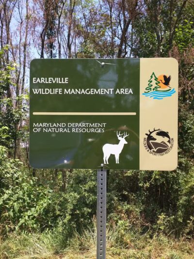 Earleville Wildlife Management Area - Earleville, MD