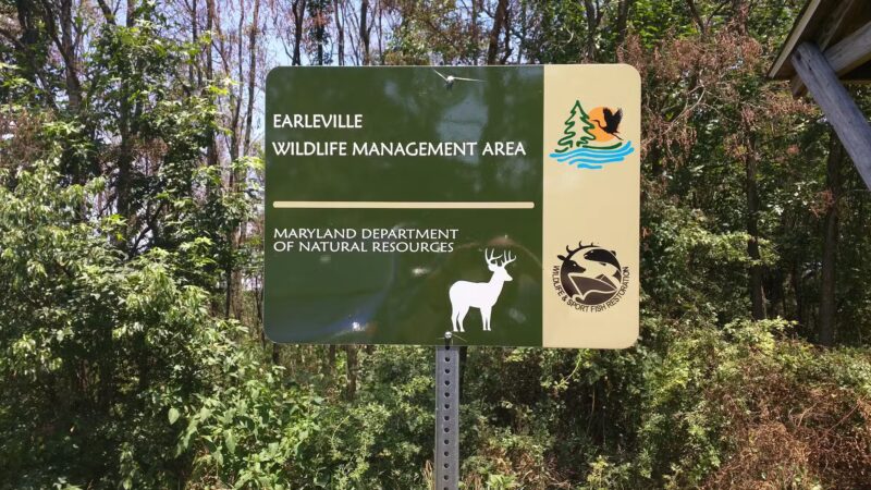 Earleville Wildlife Management Area - Earleville, MD