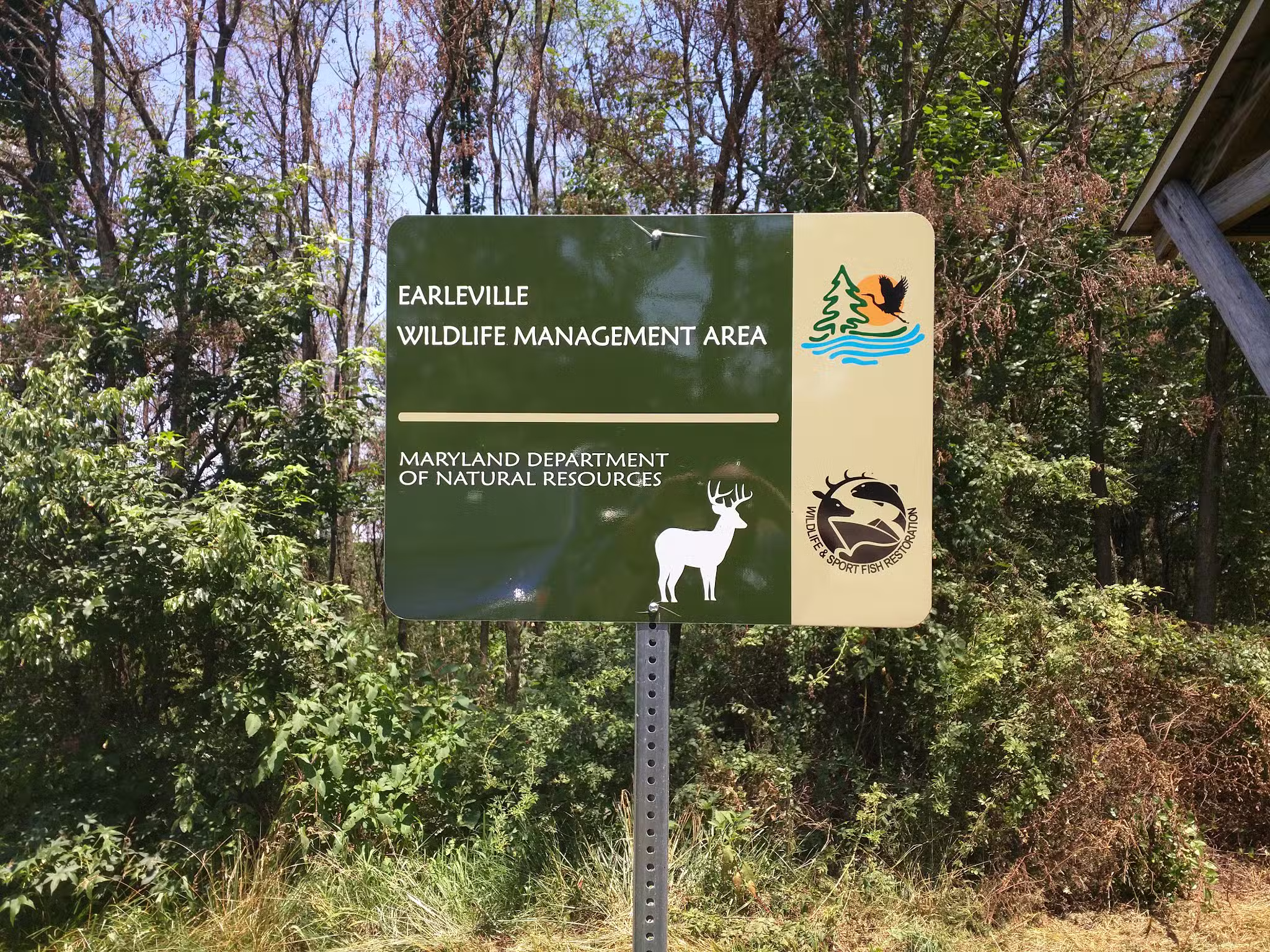 Earleville Wildlife Management Area - Earleville, MD