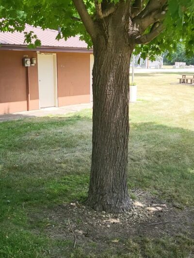 Early Shelter House Park - Early, IA