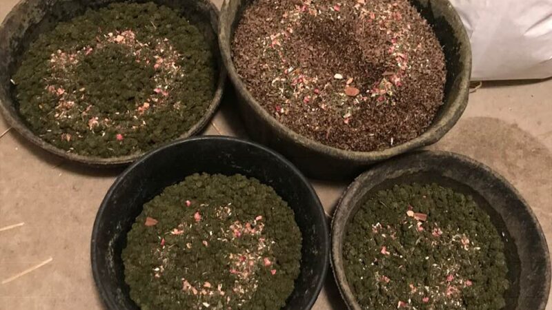 Earth Song Ranch - Natural Horse Supplements, Herbs and Probiotics - ,