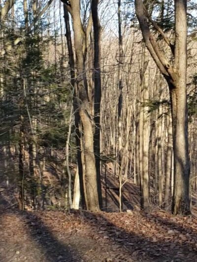 Hunters Creek County Park - East Aurora, NY