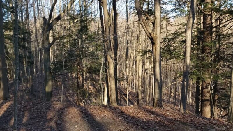 Hunters Creek County Park - East Aurora, NY