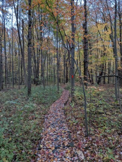 Hunters Creek County Park - East Aurora, NY