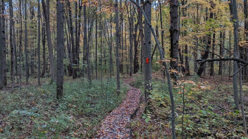 Hunters Creek County Park - East Aurora, NY