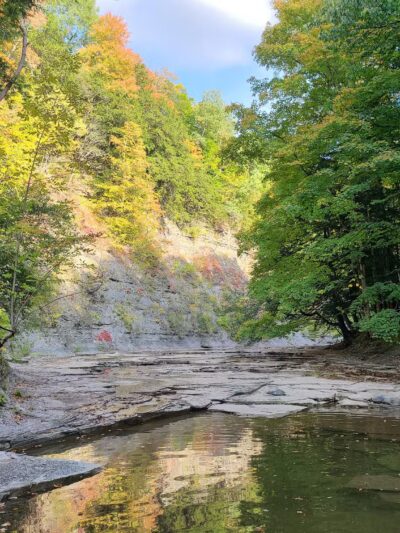 Hunters Creek County Park - East Aurora, NY