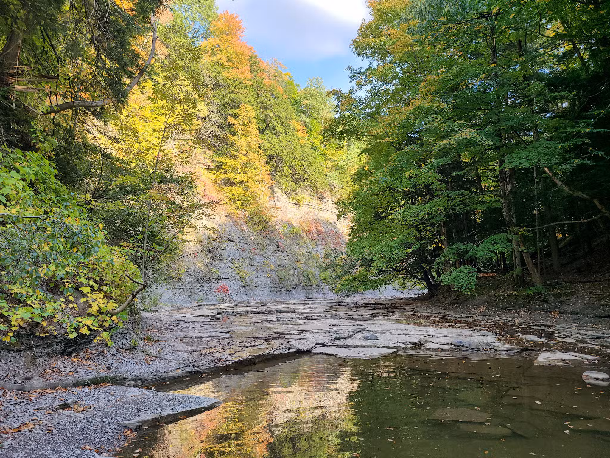 Hunters Creek County Park - East Aurora, NY