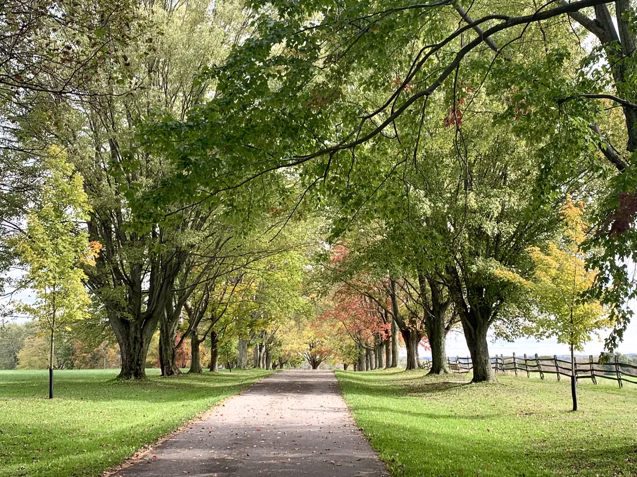 Knox Farm State Park - East Aurora, NY