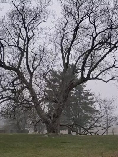 Knox Farm State Park - East Aurora, NY