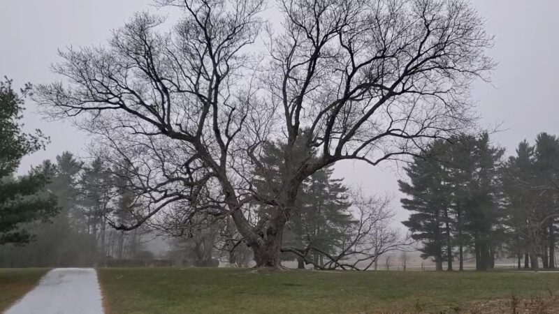 Knox Farm State Park - East Aurora, NY
