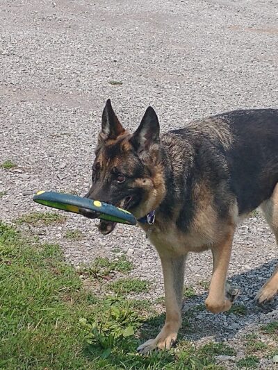 Marilla Town Park - East Aurora, NY