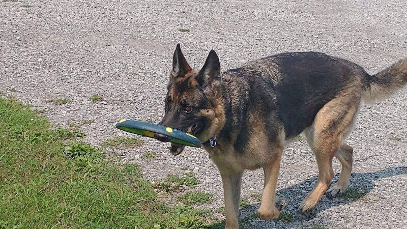 Marilla Town Park - East Aurora, NY