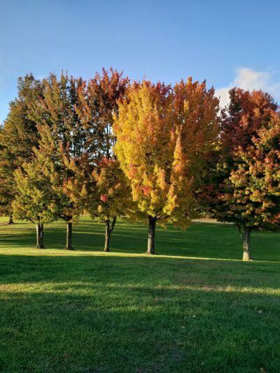 Marilla Town Park - East Aurora, NY