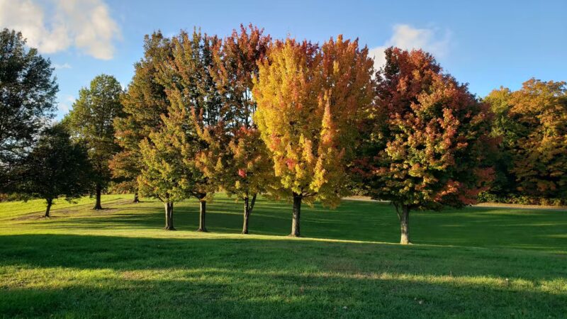 Marilla Town Park - East Aurora, NY