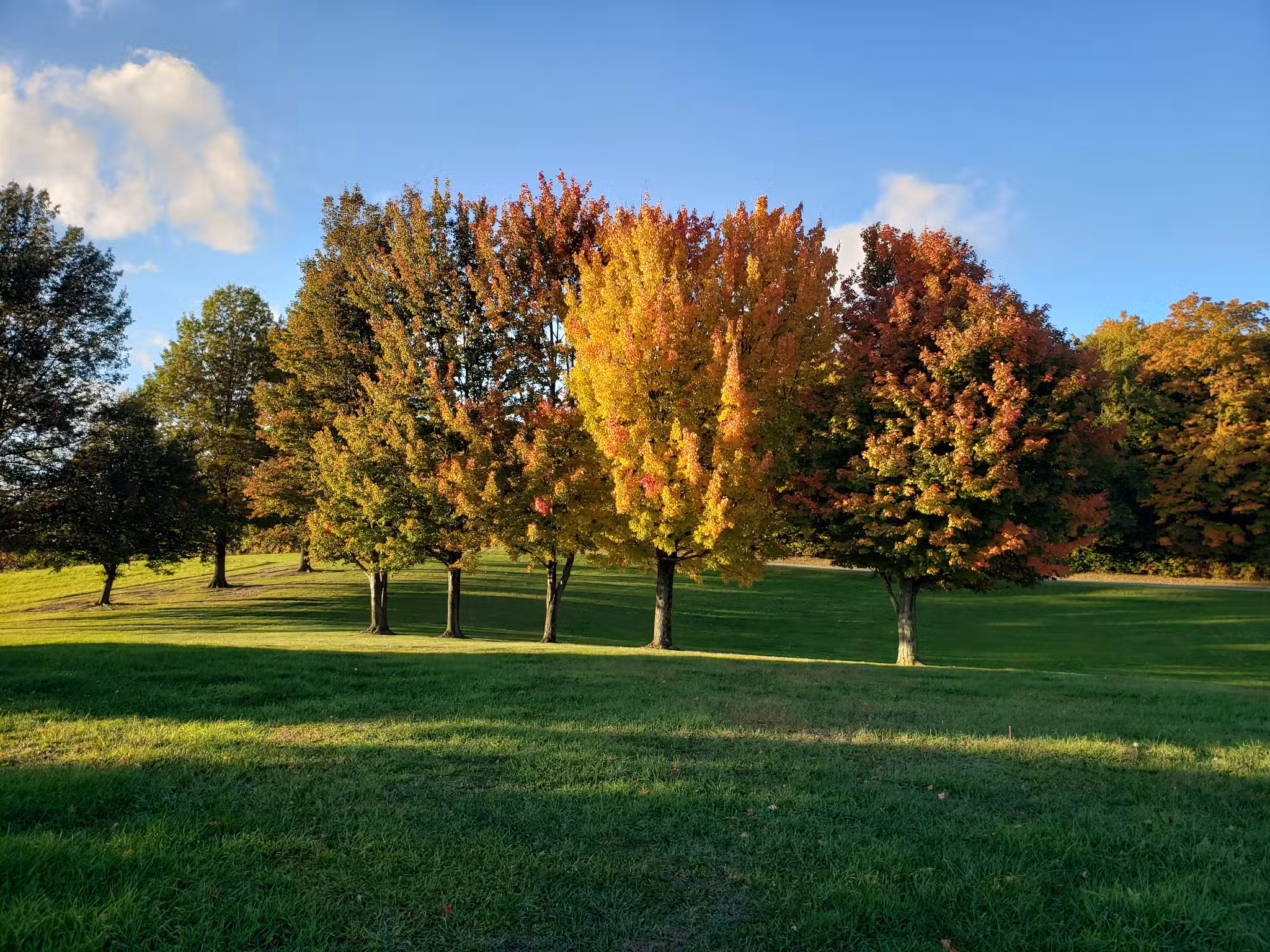 Marilla Town Park - East Aurora, NY