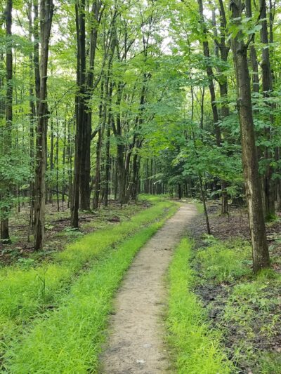 The Owens Falls Sanctuary - East Aurora, NY