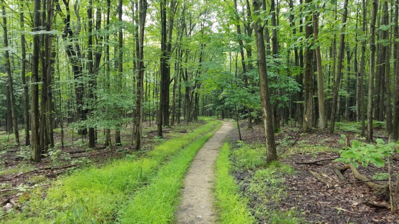 The Owens Falls Sanctuary - East Aurora, NY