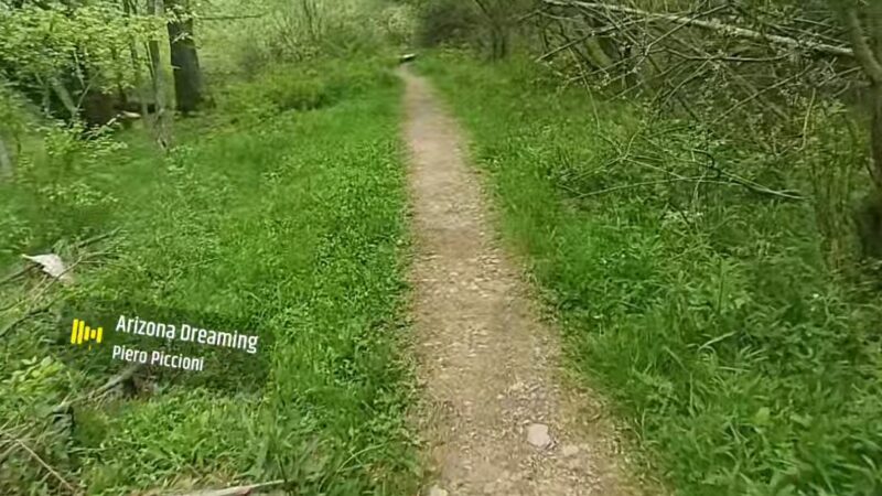 The Owens Falls Sanctuary - East Aurora, NY