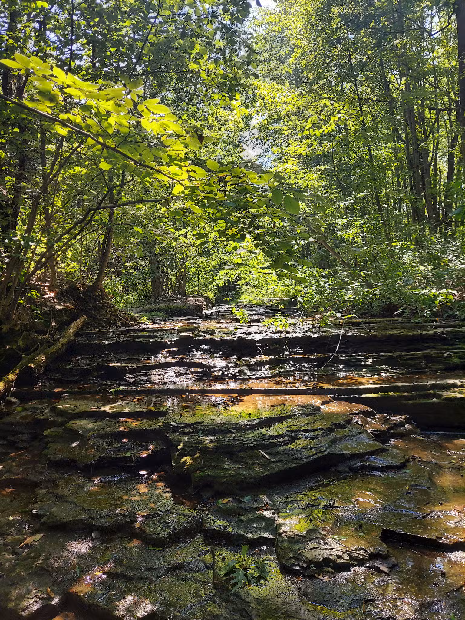 The Owens Falls Sanctuary - East Aurora, NY